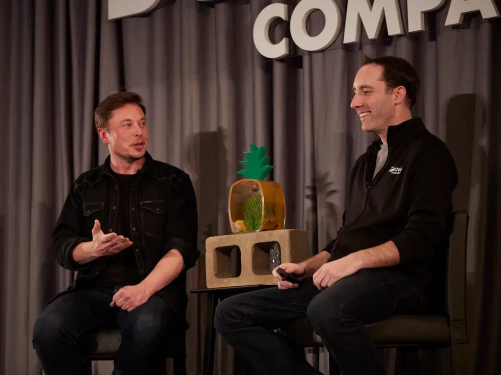 elon musk and steve davis