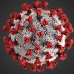 a virus with red spots