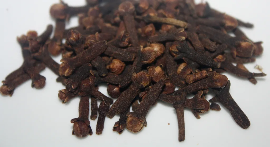 Clove_লবংগ-1024x559.webp