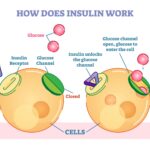 insulin