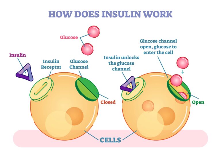 insulin